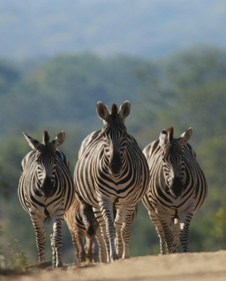 Parsons Hilltop Safari Camp Balule Game Reserve Exterior foto